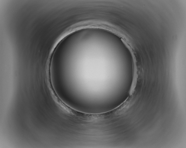 X0000115411530200911101601