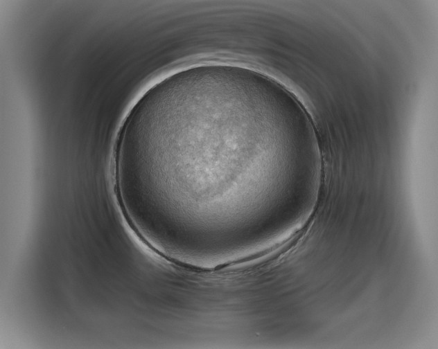 X0000115411531200911101601