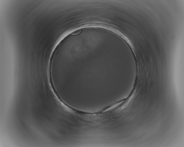X0000115411533200911101601