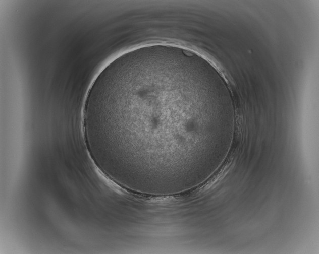 X0000115411535200911101601