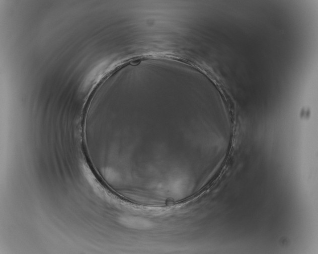 X0000115410002200911171411