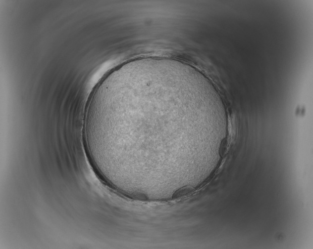 X0000115410003200911171411