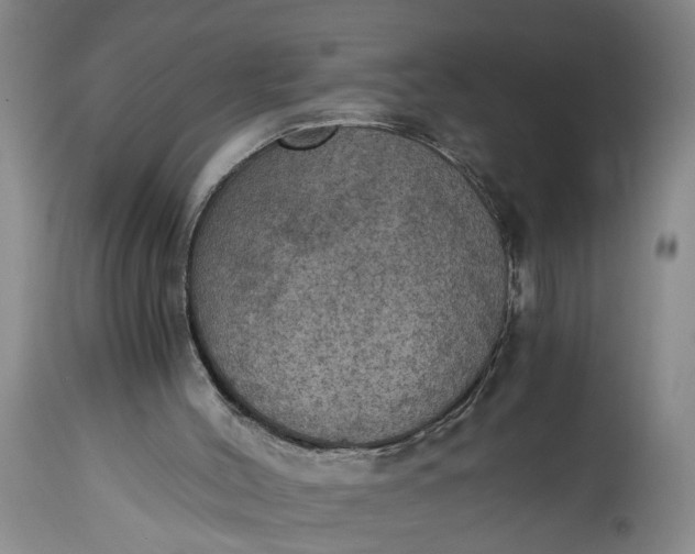 X0000115410004200911171411