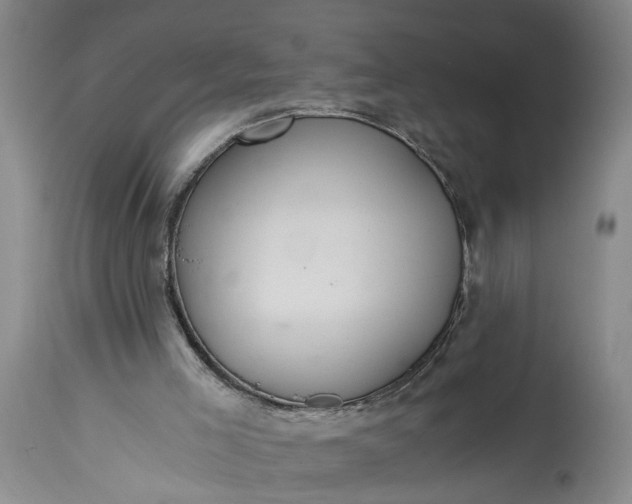 X0000115410005200911171411