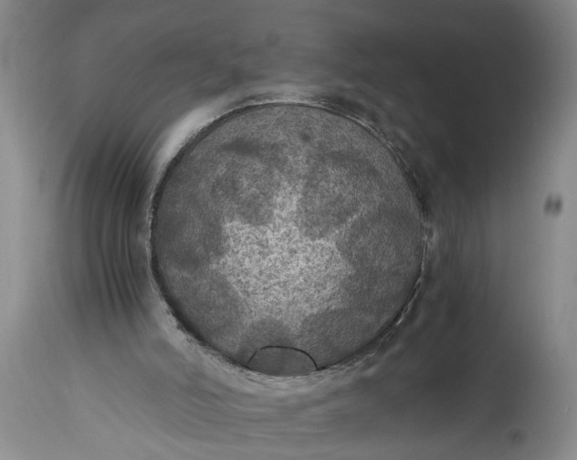 X0000115410006200911171410