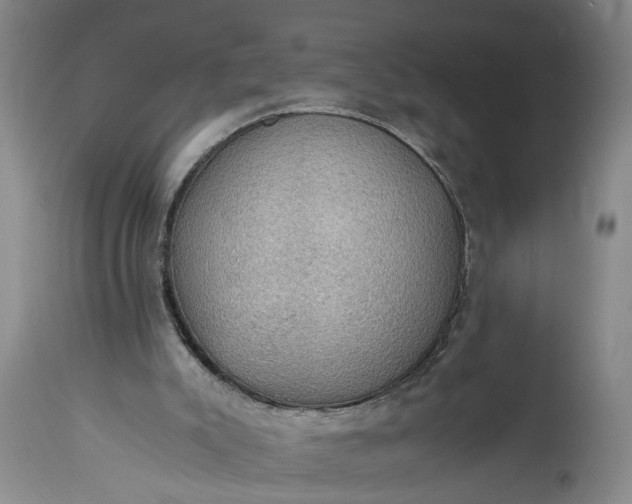 X0000115410007200911171410