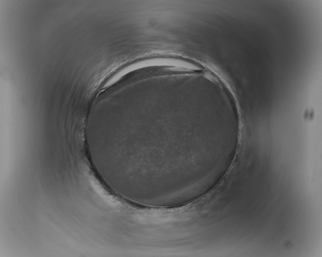 X0000115410009200911171410