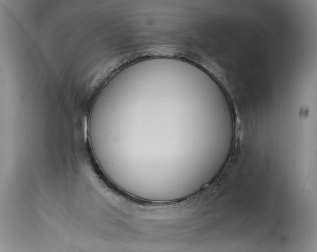 X0000115410013200911171410