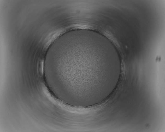 X0000115410014200911171410