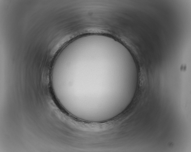 X0000115410015200911171410