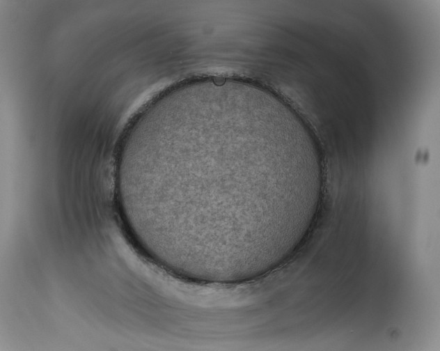 X0000115410016200911171410