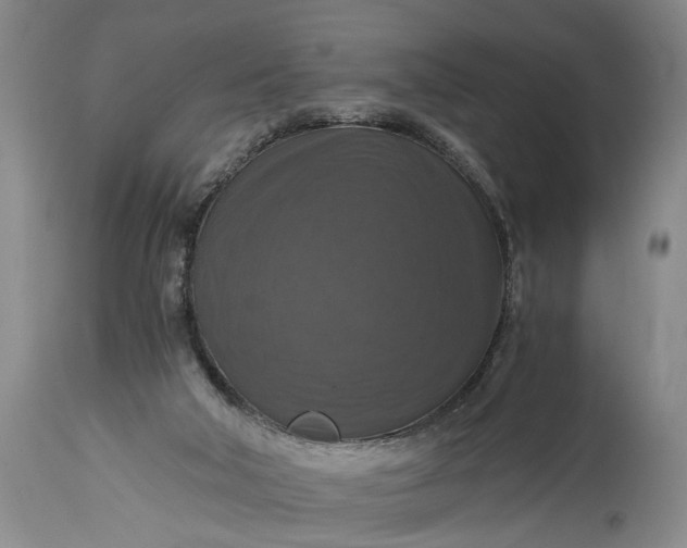 X0000115410018200911171410