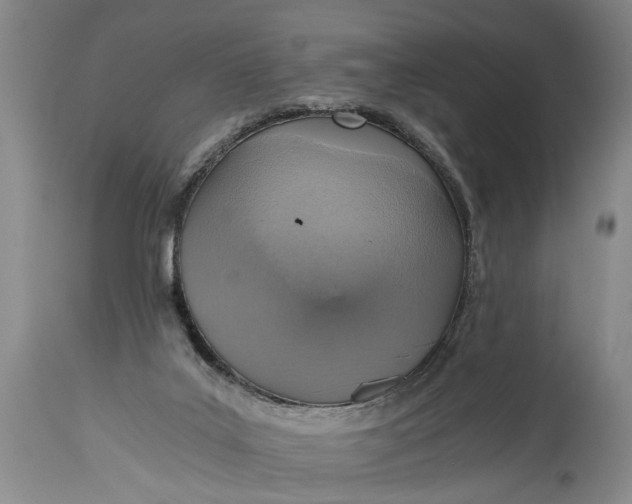 X0000115410019200911171410