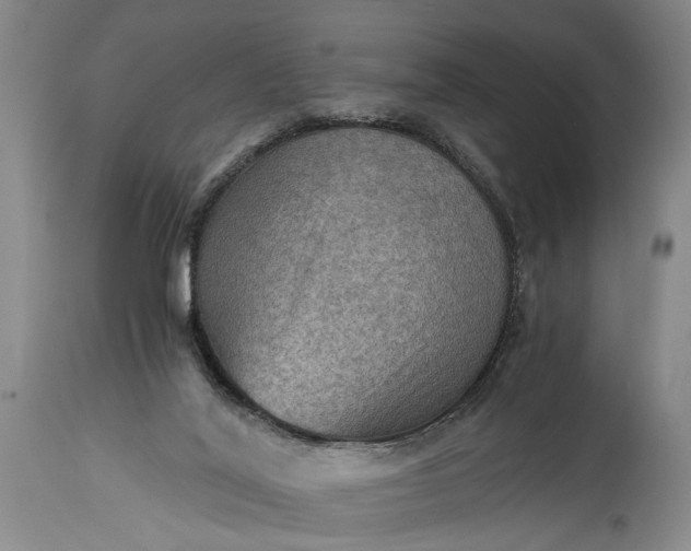 X0000115410020200911171410