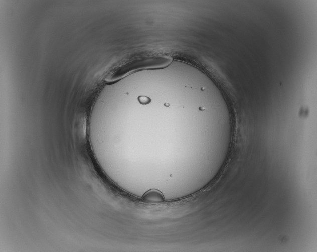 X0000115410021200911171410