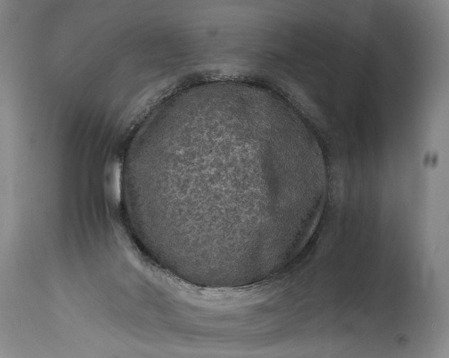 X0000115410022200911171410