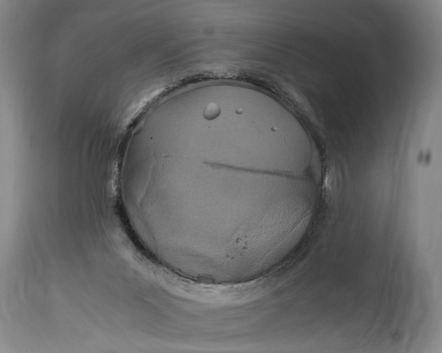 X0000115410023200911171410