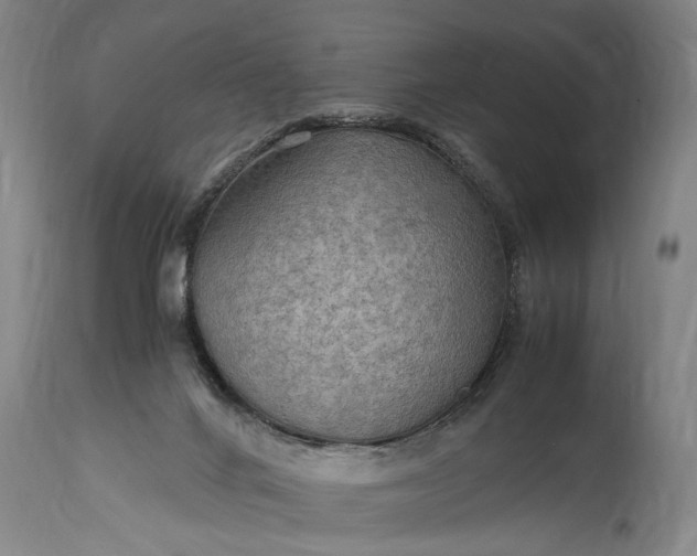 X0000115410024200911171410