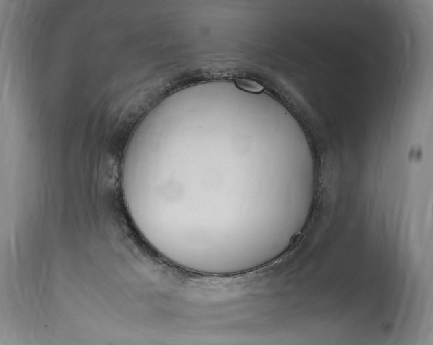 X0000115410025200911171410
