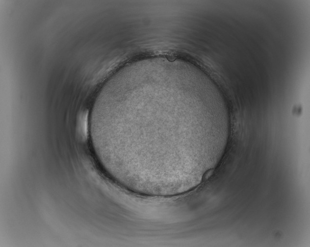 X0000115410028200911171410