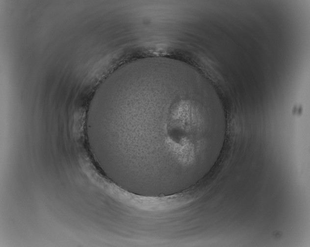 X0000115410030200911171410
