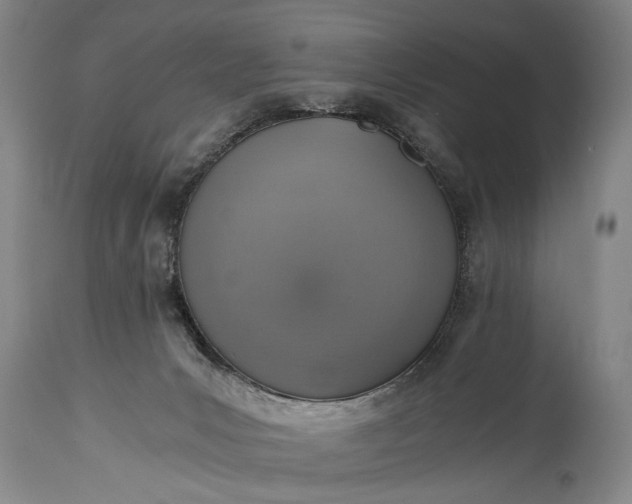 X0000115410031200911171410