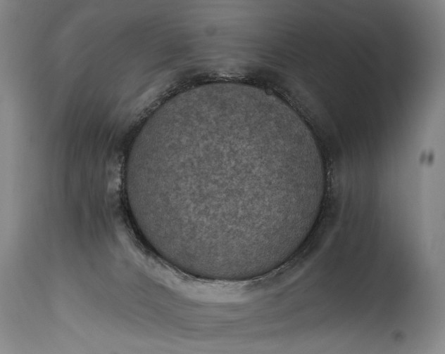 X0000115410032200911171410