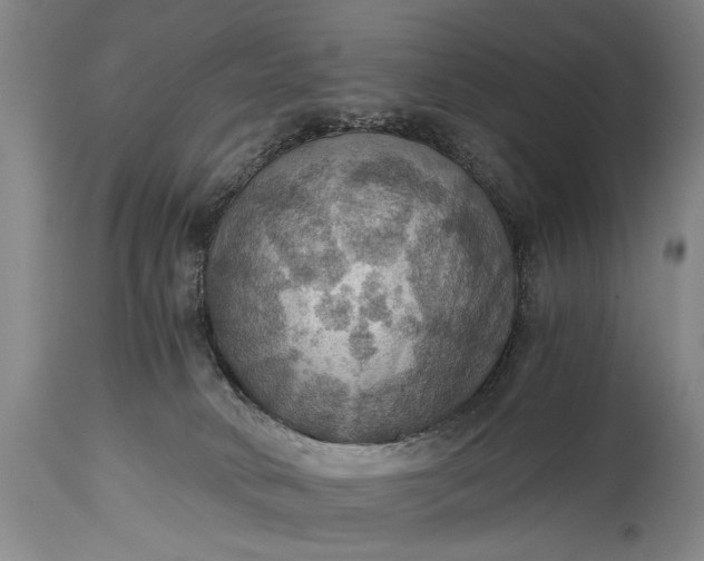 X0000115410034200911171410