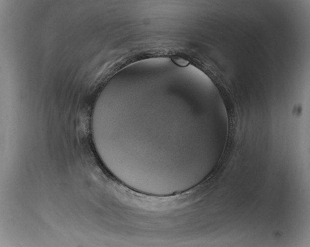 X0000115410035200911171410
