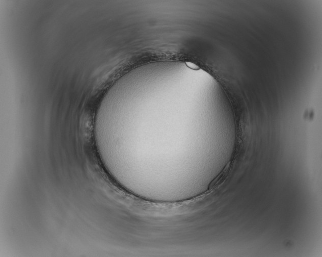X0000115410037200911171410