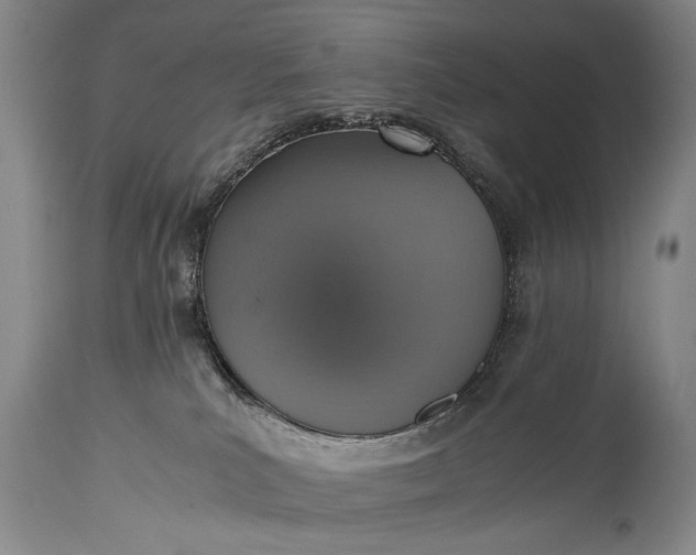 X0000115410039200911171410