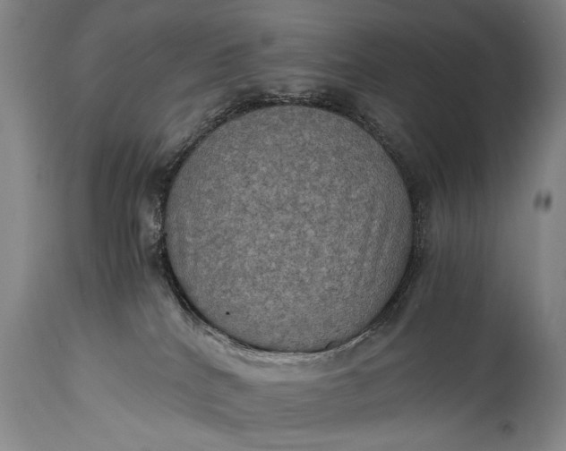 X0000115410040200911171410