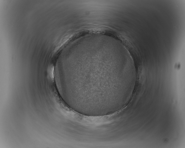 X0000115410041200911171410
