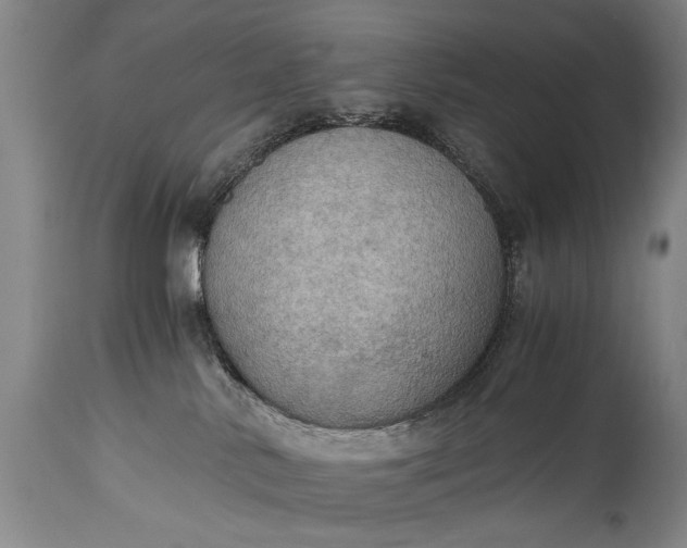 X0000115410042200911171410