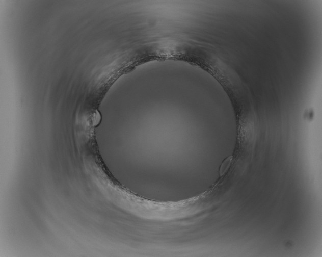 X0000115410043200911171410