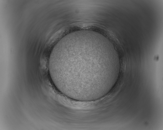 X0000115410044200911171410