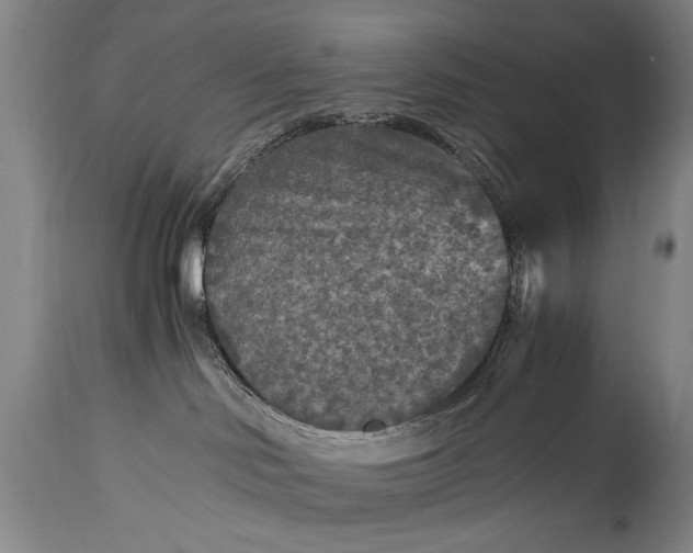 X0000115410046200911171410