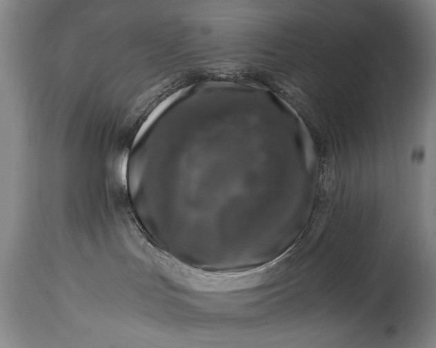 X0000115410047200911171410