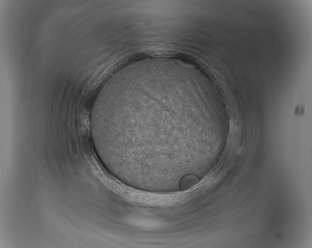 X0000115410048200911171410