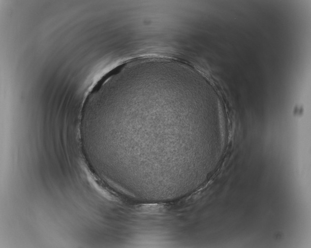 X0000115410050200911171409