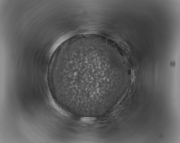 X0000115410051200911171409