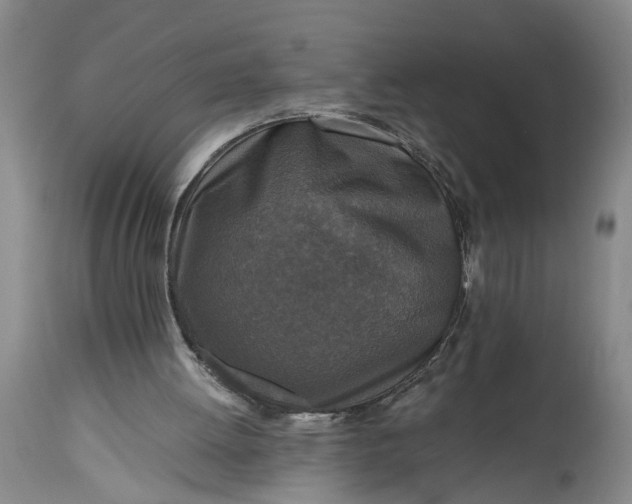 X0000115410052200911171409
