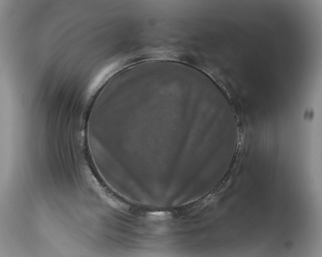 X0000115410053200911171409