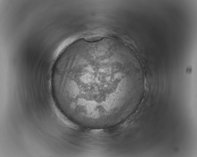 X0000115410054200911171409