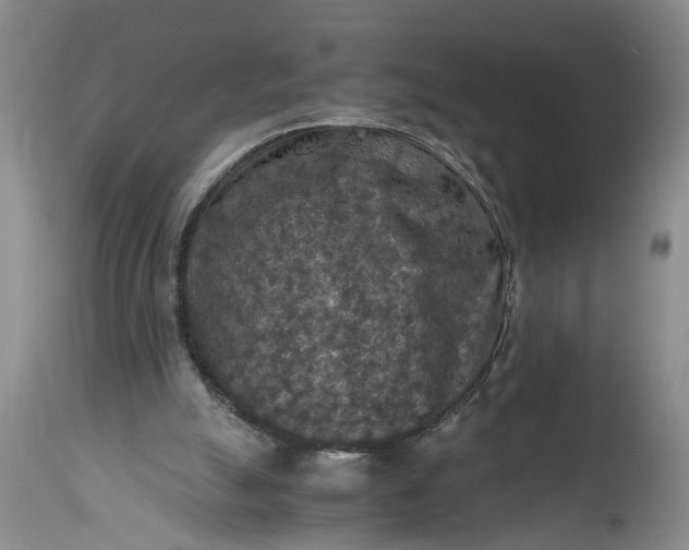 X0000115410055200911171409