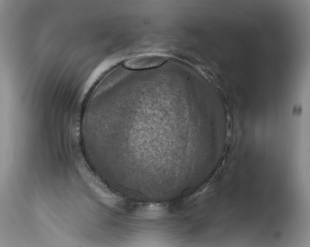 X0000115410056200911171409