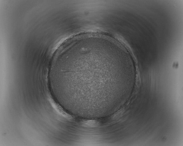 X0000115410058200911171409