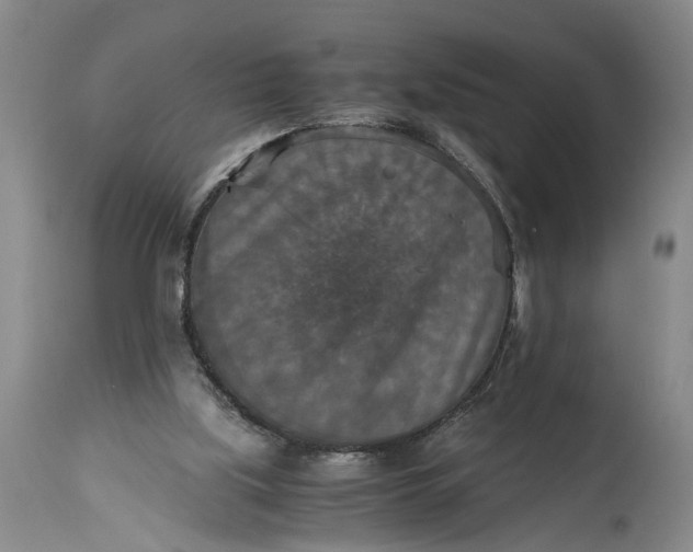 X0000115410059200911171409