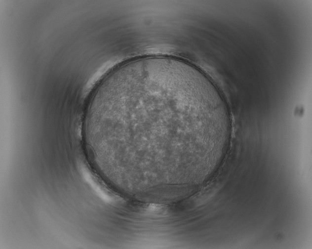 X0000115410060200911171409