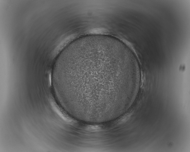 X0000115410061200911171409